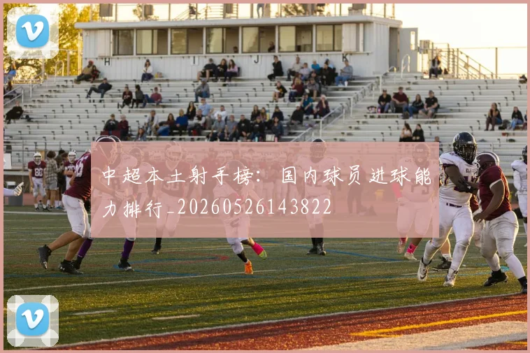 中超本土射手榜：国内球员进球能力排行_20260526143822