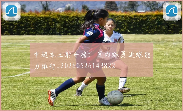 中超本土射手榜:国内球员进球能力排行_20260526143822
